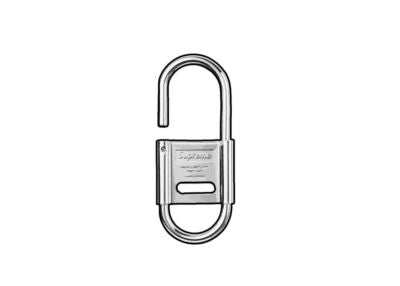 Supreme CDW Delta Carabiner (Clips)