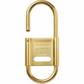 Supreme CDW Delta Carabiner (Clips)